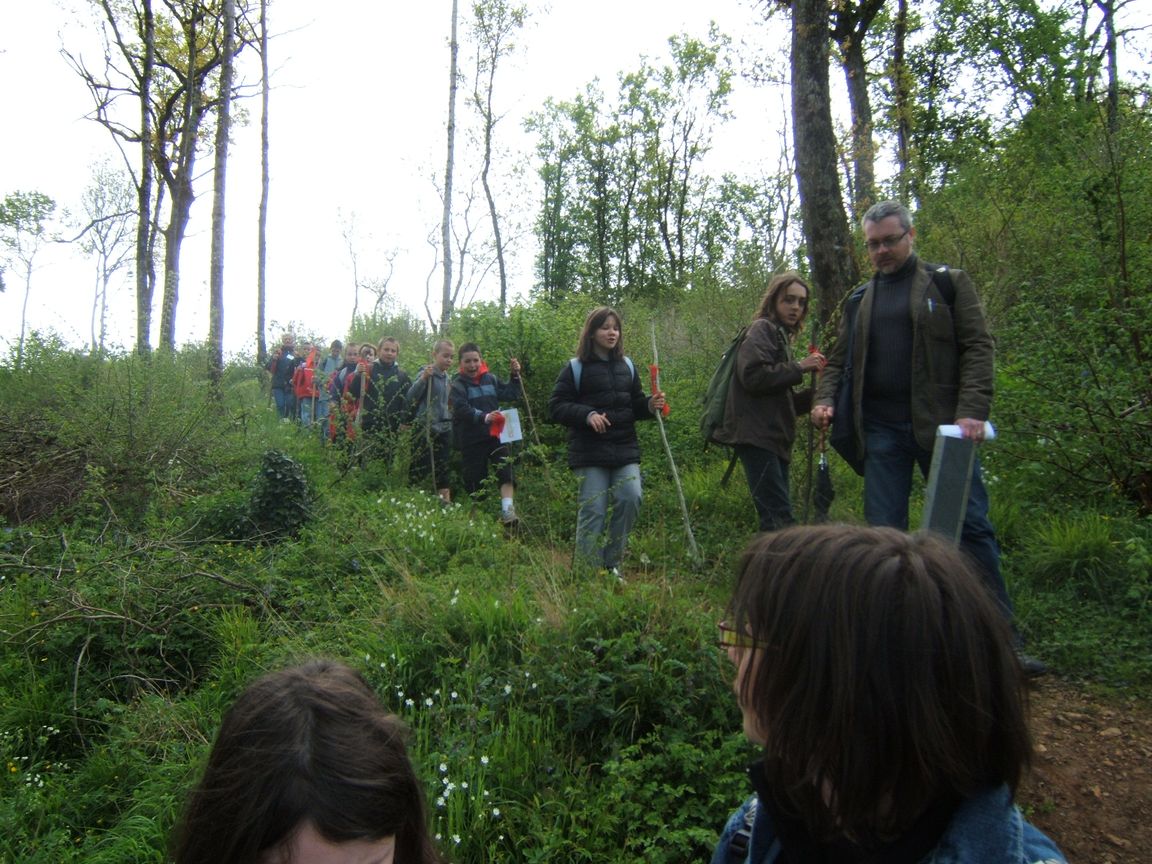 28 avril 2008 - Jazeneuil 083.jpg