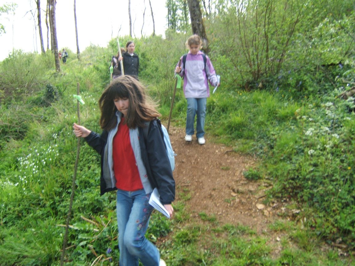 28 avril 2008 - Jazeneuil 086.jpg