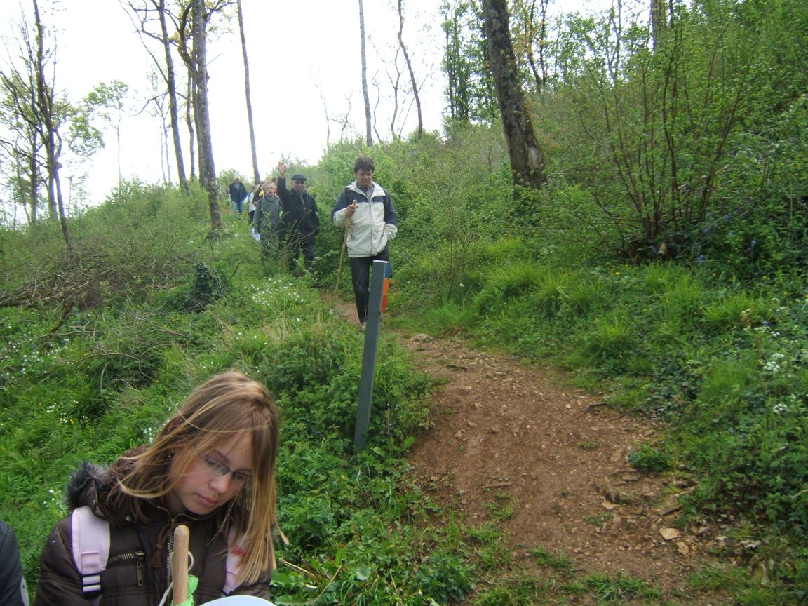 28 avril 2008 - Jazeneuil 087.jpg