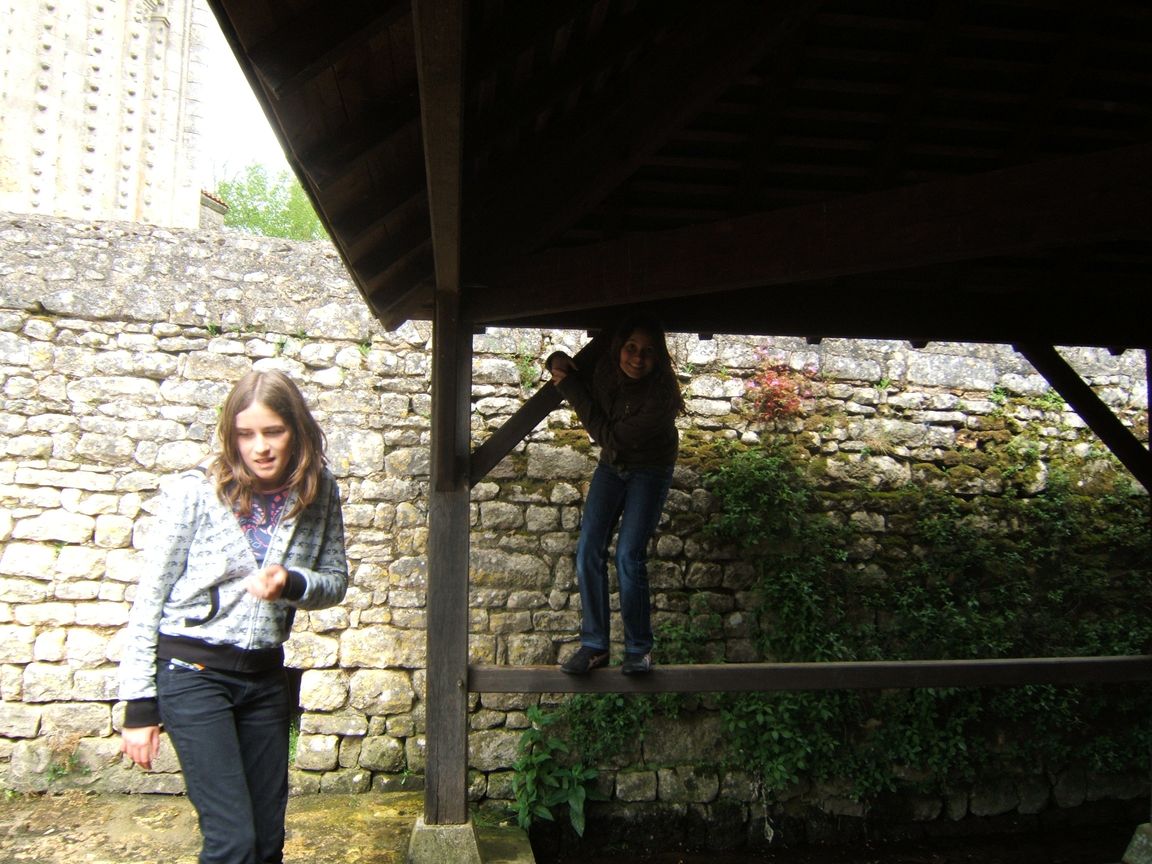 28 avril 2008 - Jazeneuil 143.jpg