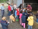 5 mai PS MS Sortie a la Ferme (1).JPG