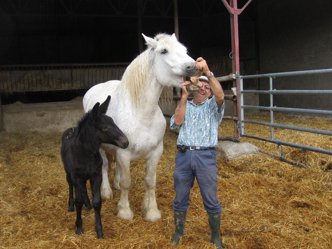 5 mai PS MS Sortie a la Ferme (10).JPG