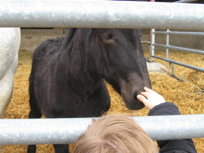 5 mai PS MS Sortie a la Ferme (12).JPG