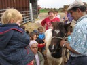 5 mai PS MS Sortie a la Ferme (14).JPG