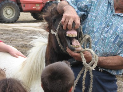 5 mai PS MS Sortie a la Ferme (16).JPG