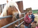 5 mai PS MS Sortie a la Ferme (18).JPG