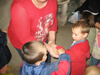 5 mai PS MS Sortie a la Ferme (23).JPG