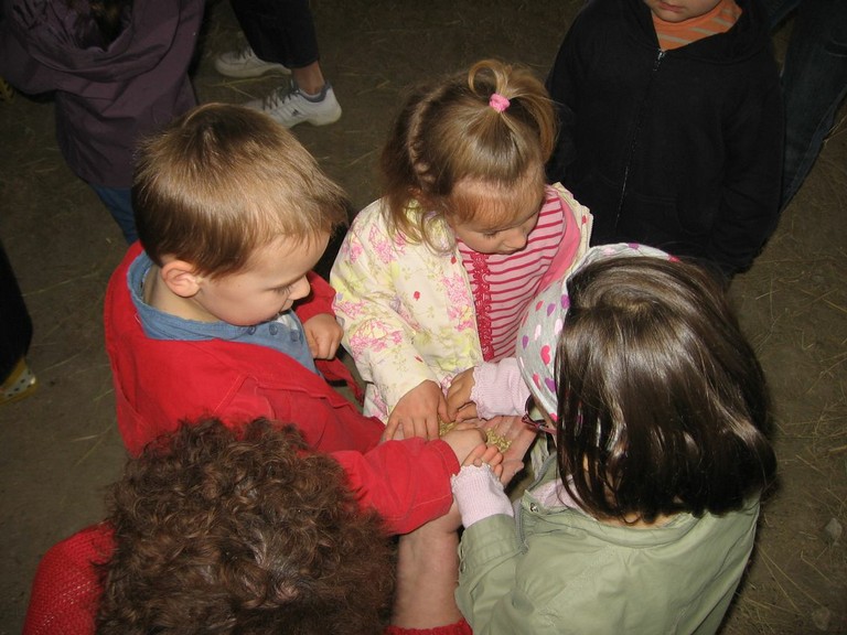 5 mai PS MS Sortie a la Ferme (26).JPG