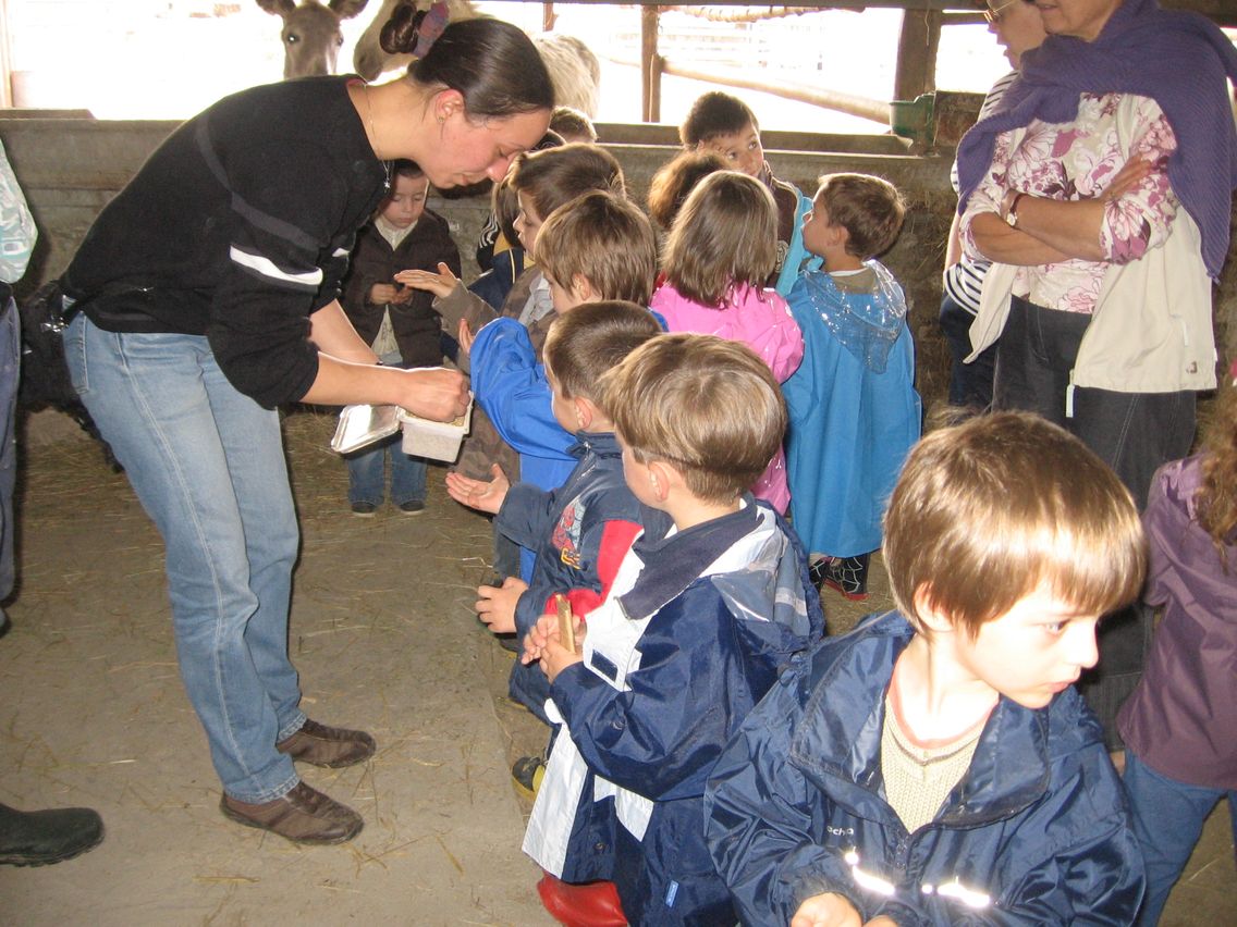 5 mai PS MS Sortie a la Ferme (27).JPG