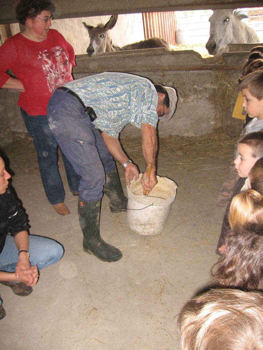 5 mai PS MS Sortie a la Ferme (28).JPG