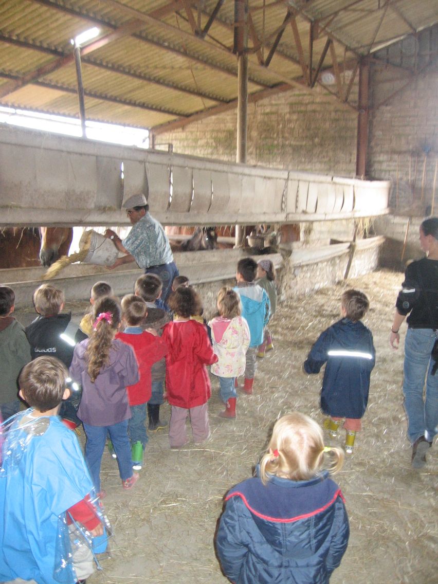 5 mai PS MS Sortie a la Ferme (29).JPG