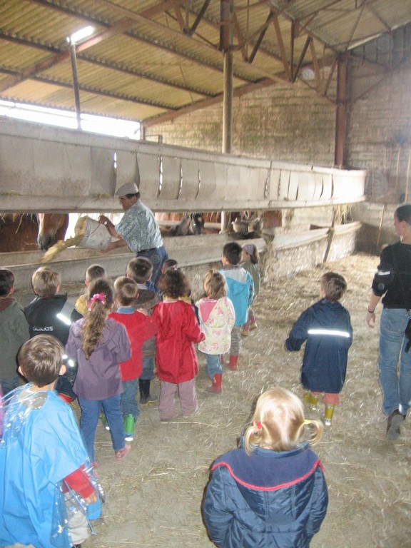 5 mai PS MS Sortie a la Ferme (29).JPG
