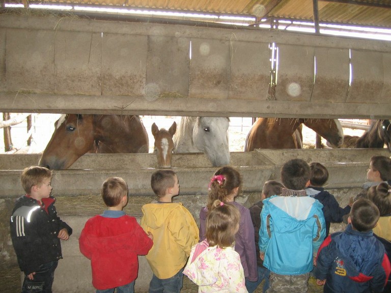 5 mai PS MS Sortie a la Ferme (30).JPG