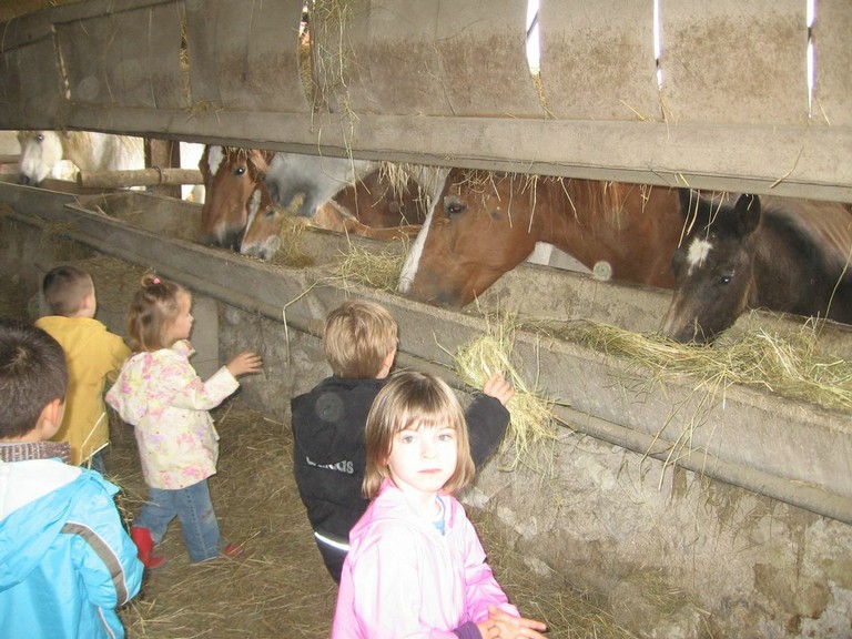 5 mai PS MS Sortie a la Ferme (31).JPG