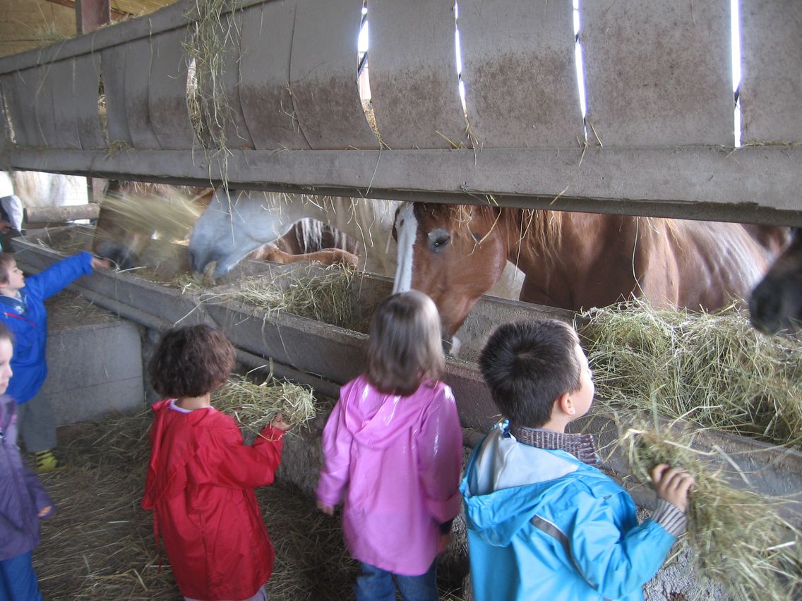 5 mai PS MS Sortie a la Ferme (32).JPG