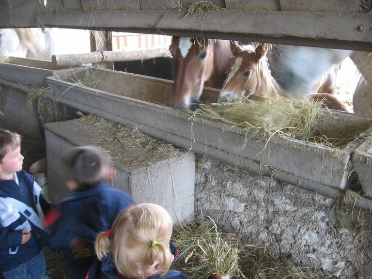 5 mai PS MS Sortie a la Ferme (33).JPG
