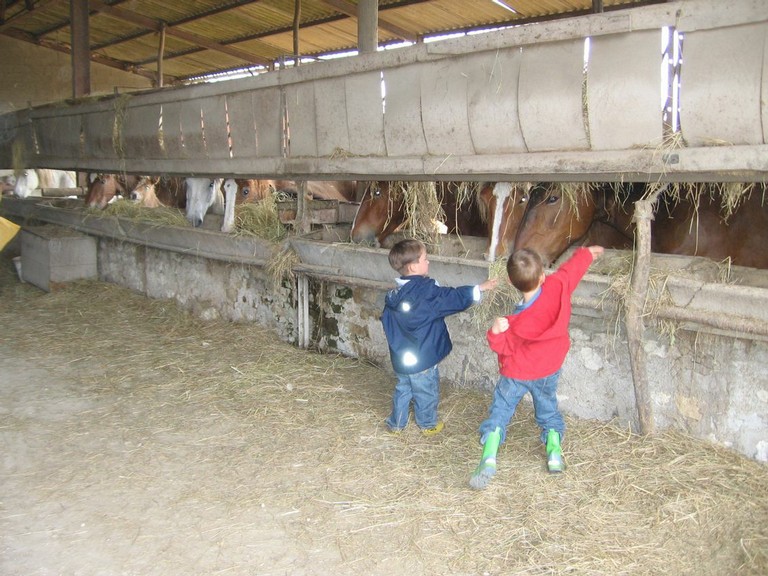 5 mai PS MS Sortie a la Ferme (35).JPG