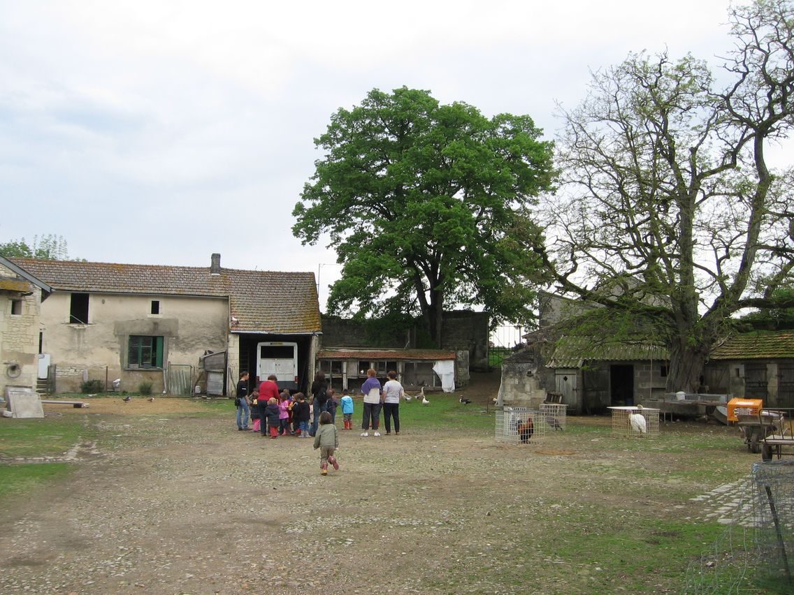 5 mai PS MS Sortie a la Ferme (37).JPG