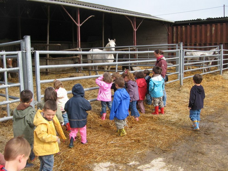 5 mai PS MS Sortie a la Ferme (4).JPG