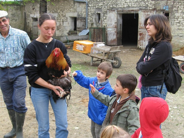 5 mai PS MS Sortie a la Ferme (43).JPG