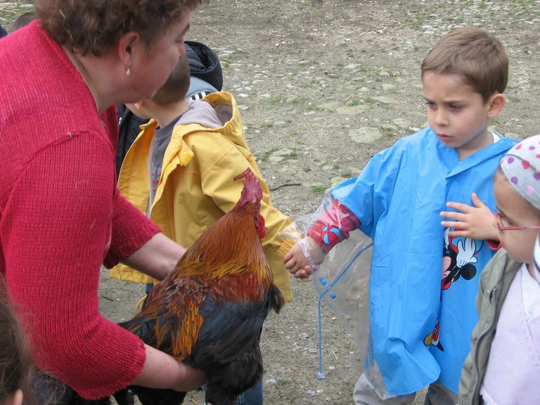 5 mai PS MS Sortie a la Ferme (44).JPG