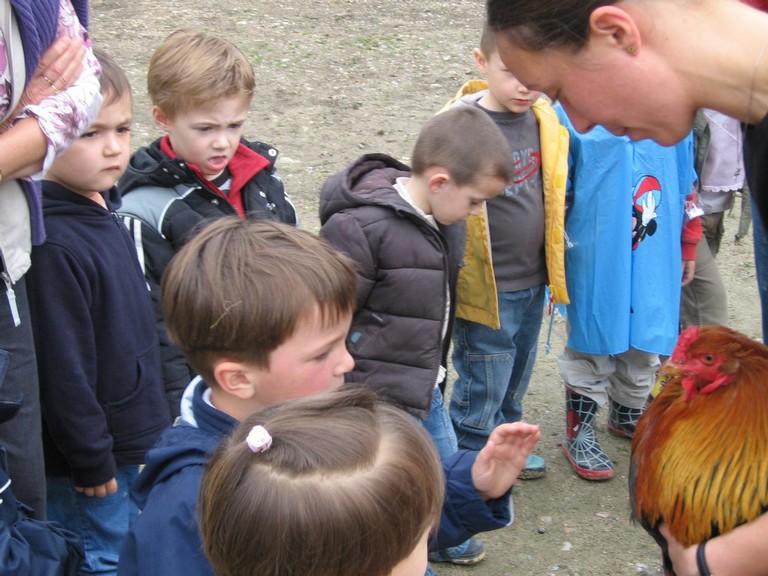 5 mai PS MS Sortie a la Ferme (46).JPG