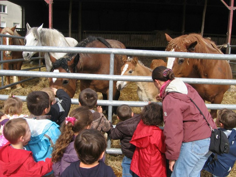 5 mai PS MS Sortie a la Ferme (5).JPG
