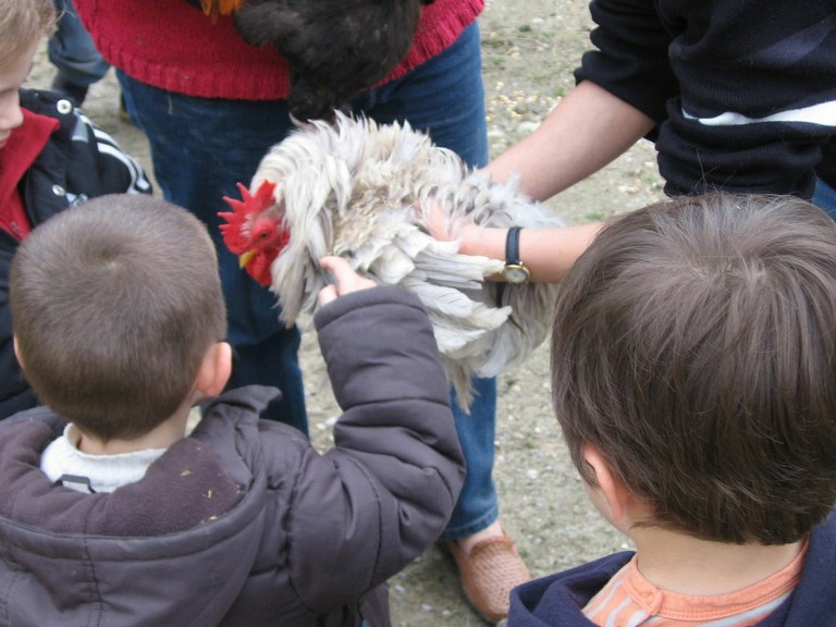 5 mai PS MS Sortie a la Ferme (50).JPG