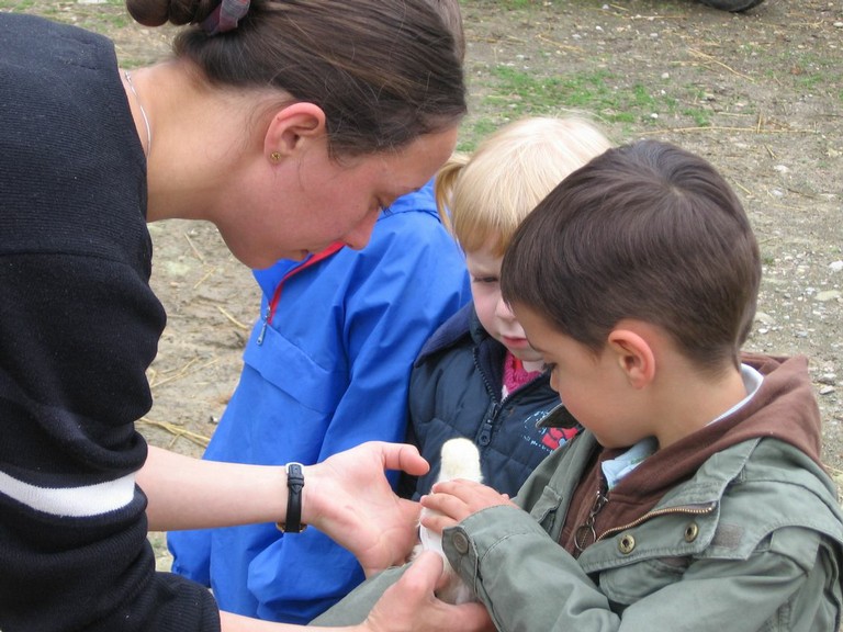 5 mai PS MS Sortie a la Ferme (57).JPG