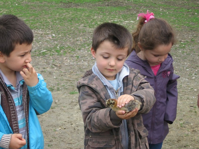 5 mai PS MS Sortie a la Ferme (58).JPG