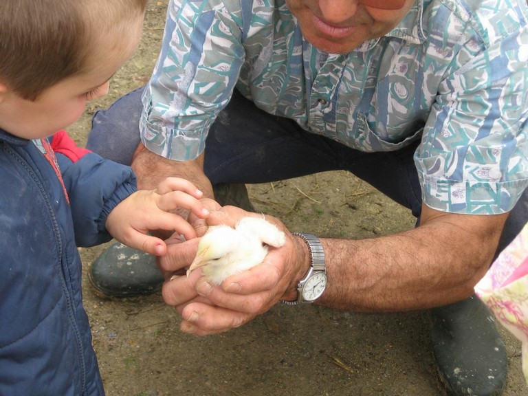 5 mai PS MS Sortie a la Ferme (59).JPG