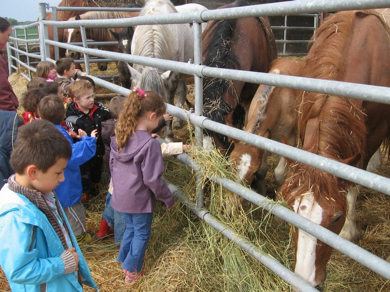 5 mai PS MS Sortie a la Ferme (6).JPG