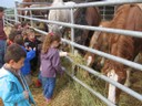 5 mai PS MS Sortie a la Ferme (6).JPG