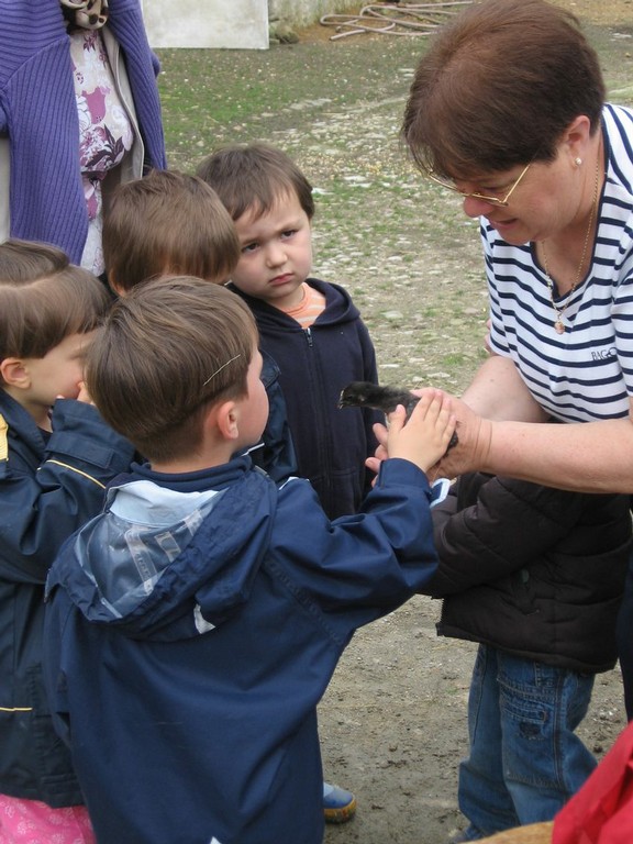 5 mai PS MS Sortie a la Ferme (60).JPG