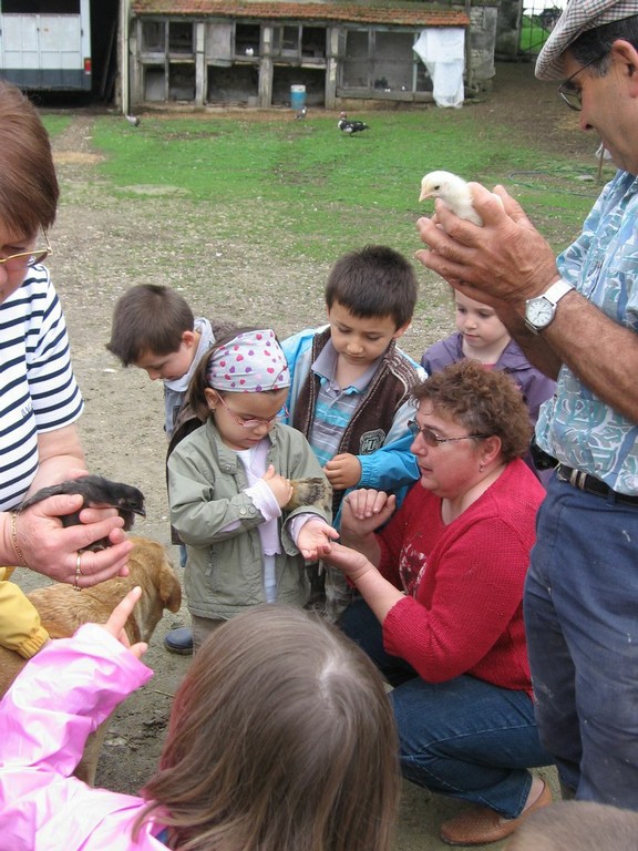 5 mai PS MS Sortie a la Ferme (61).JPG