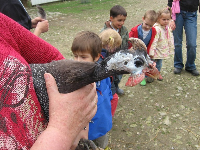 5 mai PS MS Sortie a la Ferme (63).JPG