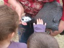 5 mai PS MS Sortie a la Ferme (64).JPG