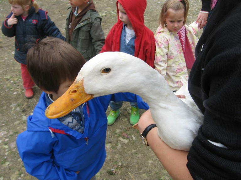 5 mai PS MS Sortie a la Ferme (67).JPG