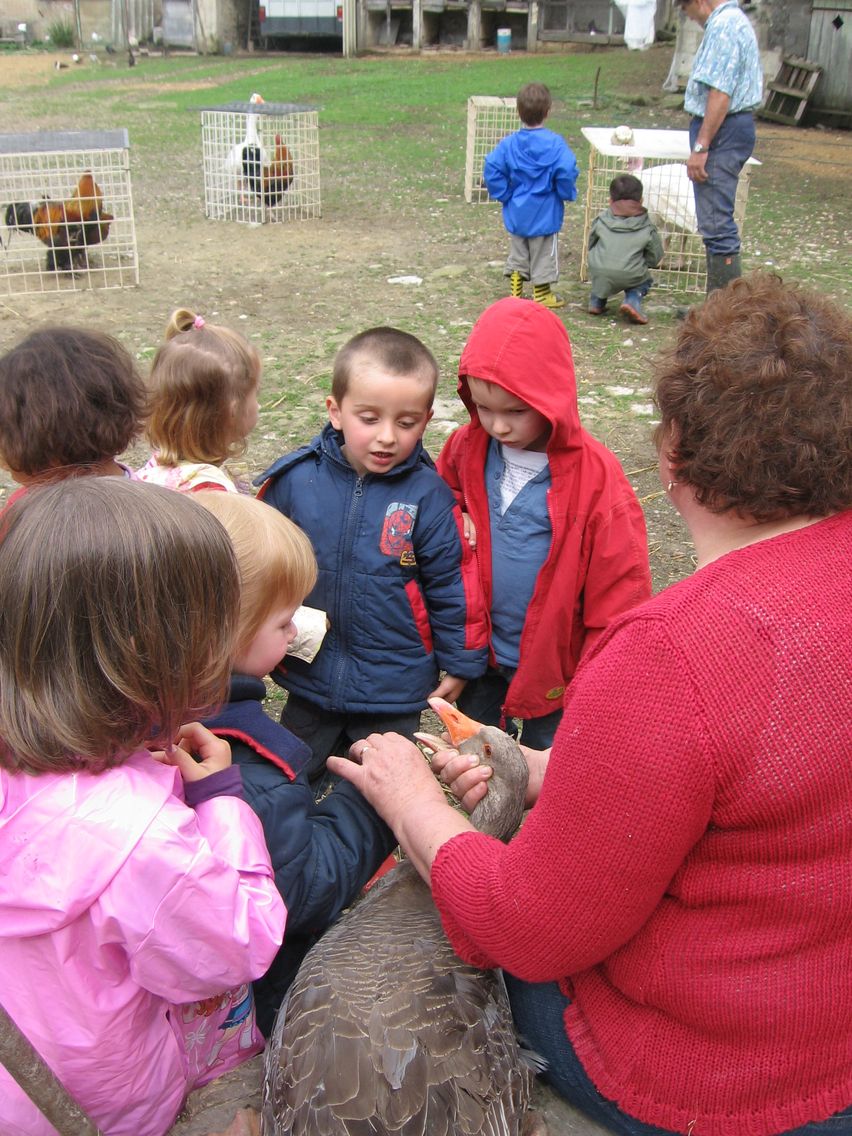 5 mai PS MS Sortie a la Ferme (69).JPG
