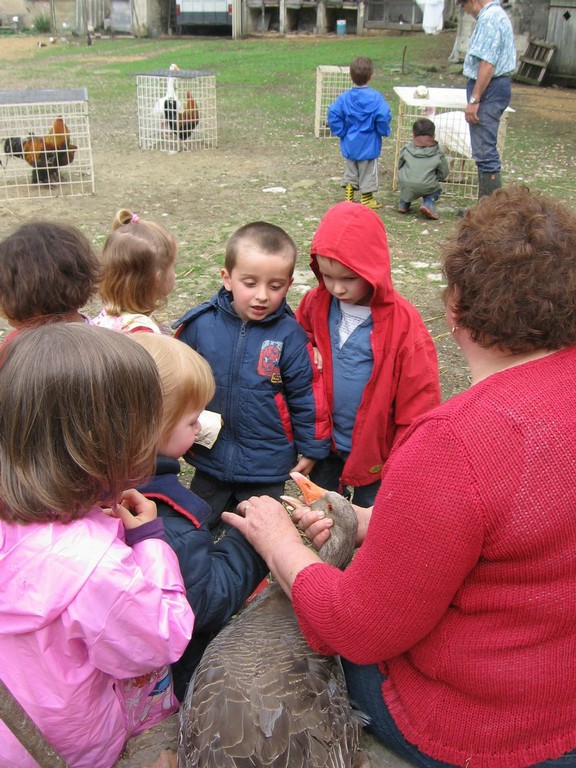 5 mai PS MS Sortie a la Ferme (69).JPG