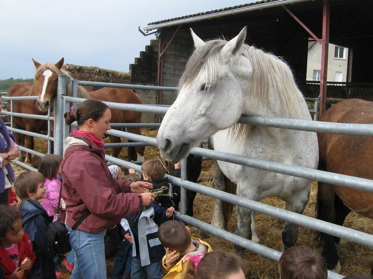 5 mai PS MS Sortie a la Ferme (7).JPG