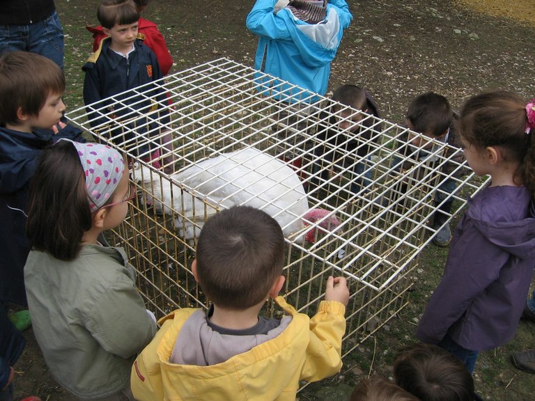 5 mai PS MS Sortie a la Ferme (72).JPG