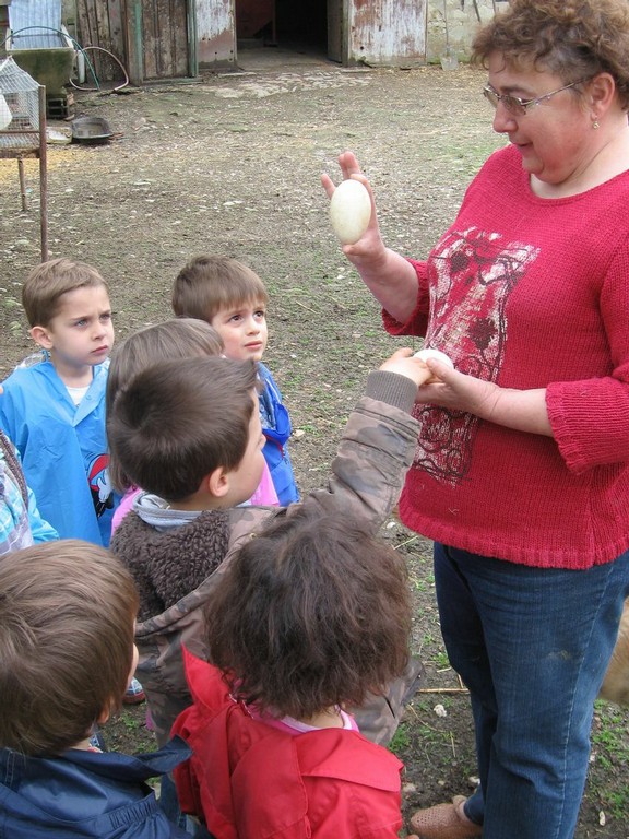 5 mai PS MS Sortie a la Ferme (74).JPG