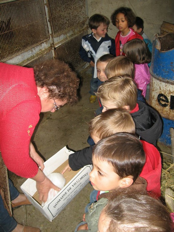 5 mai PS MS Sortie a la Ferme (78).JPG