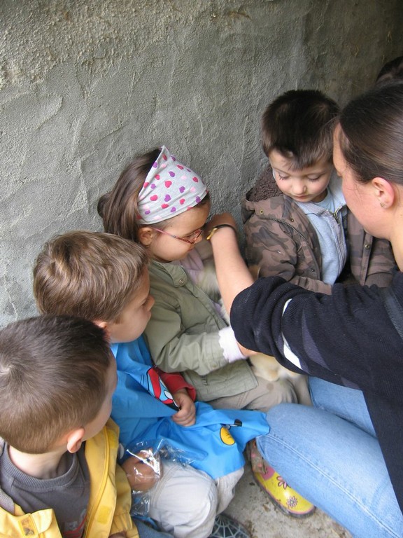 5 mai PS MS Sortie a la Ferme (79).JPG