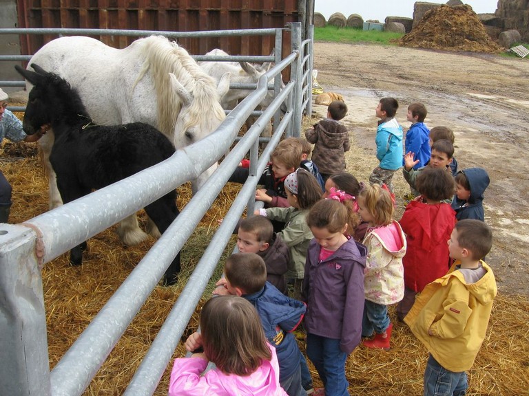 5 mai PS MS Sortie a la Ferme (8).JPG