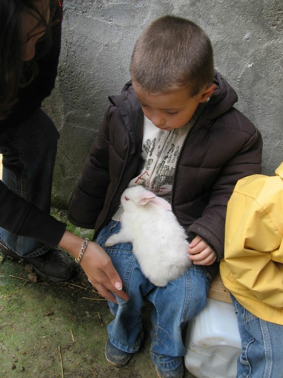 5 mai PS MS Sortie a la Ferme (80).JPG