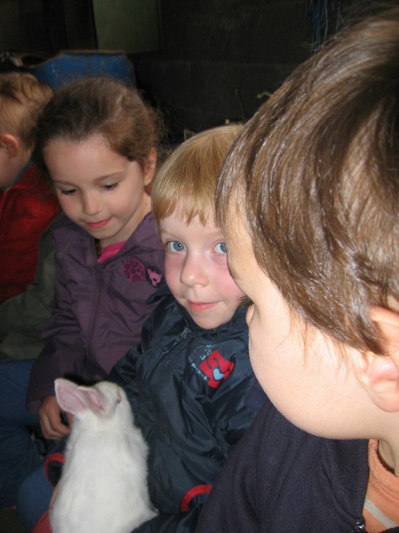 5 mai PS MS Sortie a la Ferme (81).JPG