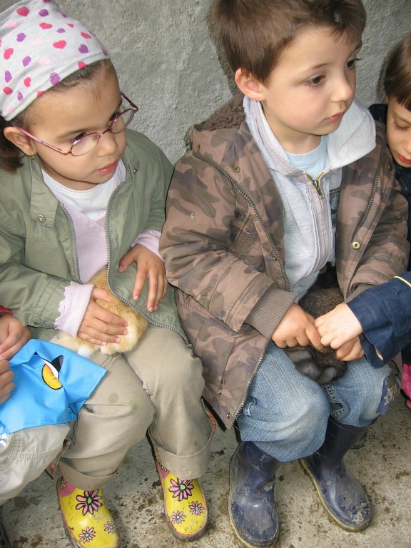 5 mai PS MS Sortie a la Ferme (83).JPG