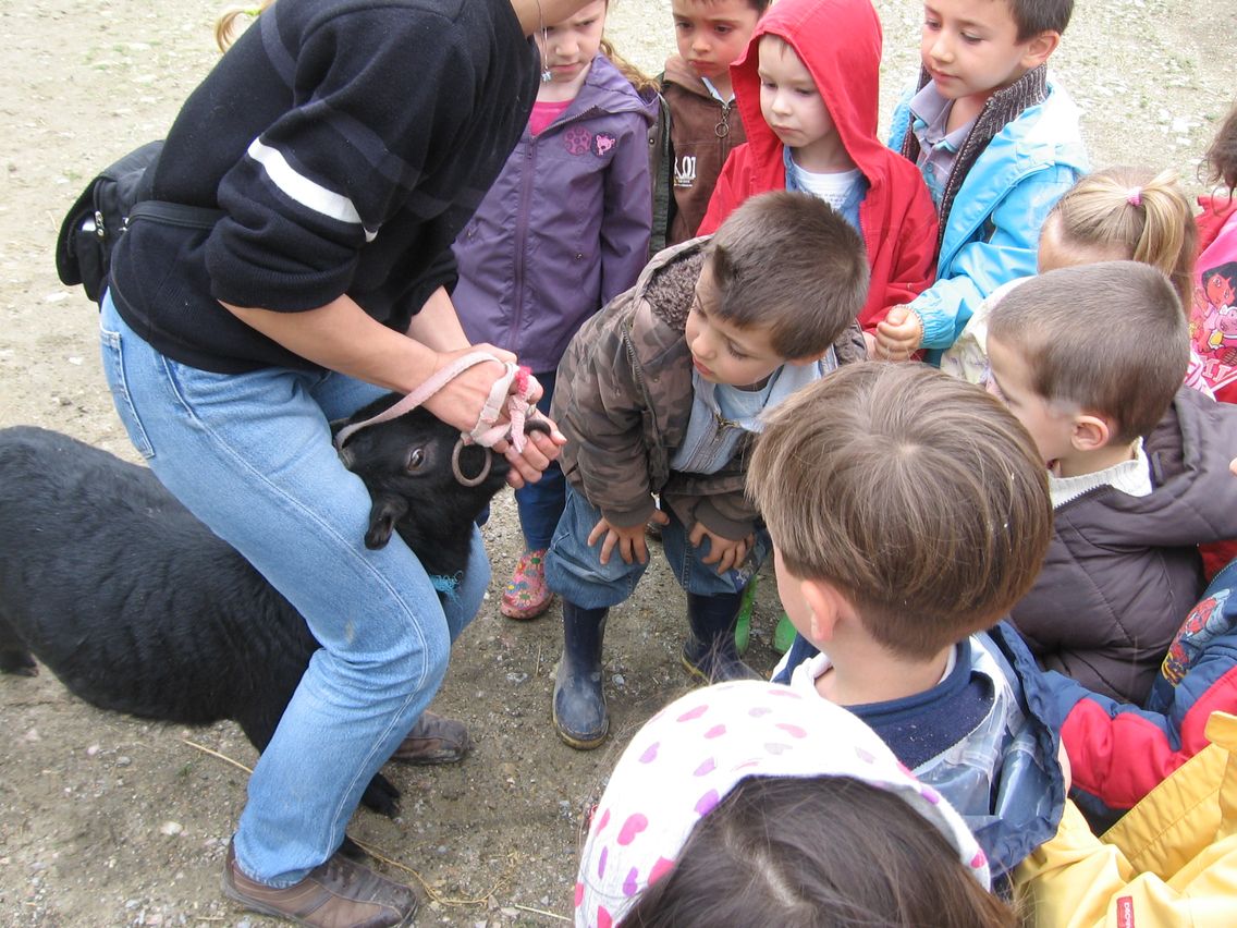 5 mai PS MS Sortie a la Ferme (86).JPG